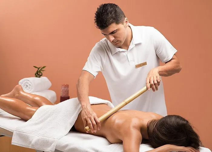 아나 호텔스 유로파 에포리에 노르드